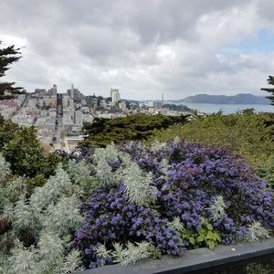 Meet your Posher, Wendy